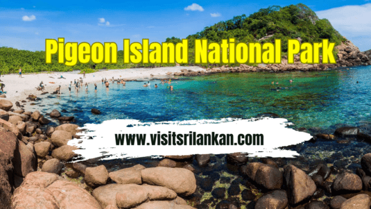 Pigeon Island National Park | Exploring Nature's Treasure in Sri Lanka — Sri Lanka travel guide
